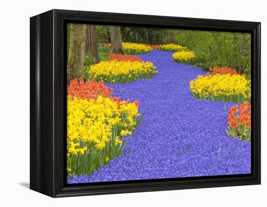 Flowers at Keukenhof Garden-Jim Zuckerman-Framed Premier Image Canvas