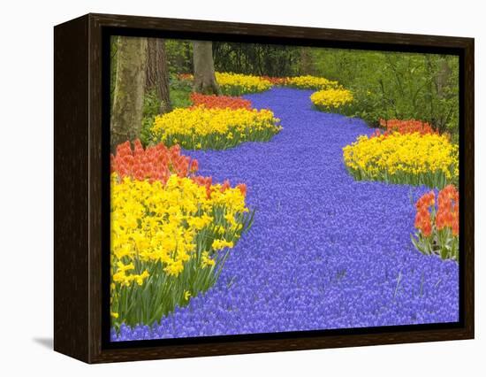 Flowers at Keukenhof Garden-Jim Zuckerman-Framed Premier Image Canvas