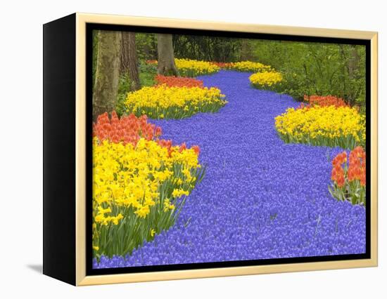 Flowers at Keukenhof Garden-Jim Zuckerman-Framed Premier Image Canvas