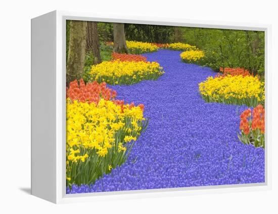 Flowers at Keukenhof Garden-Jim Zuckerman-Framed Premier Image Canvas