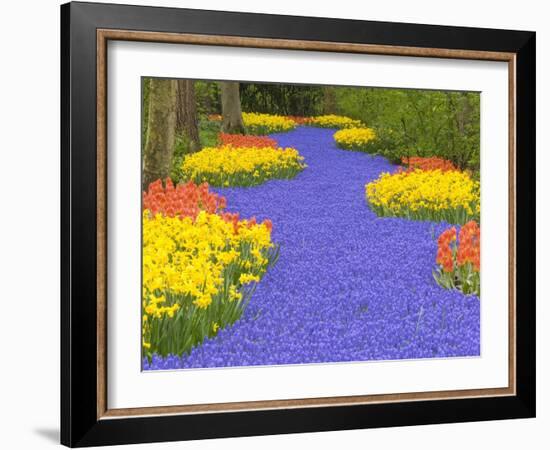 Flowers at Keukenhof Garden-Jim Zuckerman-Framed Photographic Print