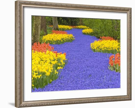 Flowers at Keukenhof Garden-Jim Zuckerman-Framed Photographic Print