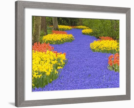 Flowers at Keukenhof Garden-Jim Zuckerman-Framed Photographic Print