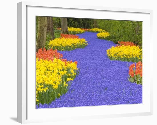 Flowers at Keukenhof Garden-Jim Zuckerman-Framed Photographic Print