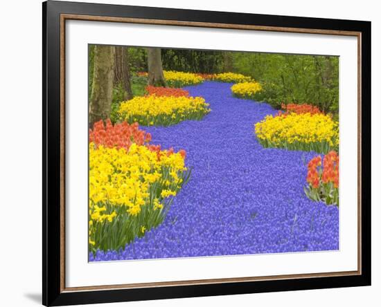 Flowers at Keukenhof Garden-Jim Zuckerman-Framed Photographic Print