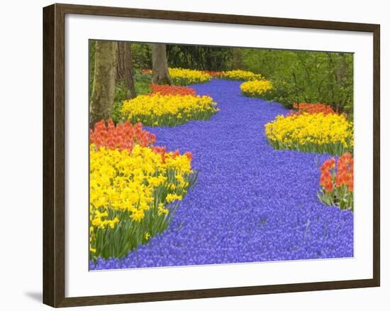 Flowers at Keukenhof Garden-Jim Zuckerman-Framed Photographic Print