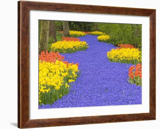 Flowers at Keukenhof Garden-Jim Zuckerman-Framed Photographic Print