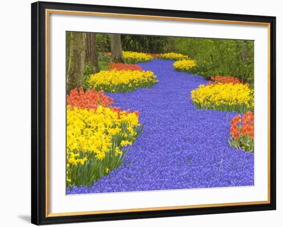 Flowers at Keukenhof Garden-Jim Zuckerman-Framed Photographic Print