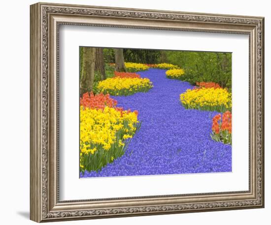 Flowers at Keukenhof Garden-Jim Zuckerman-Framed Photographic Print