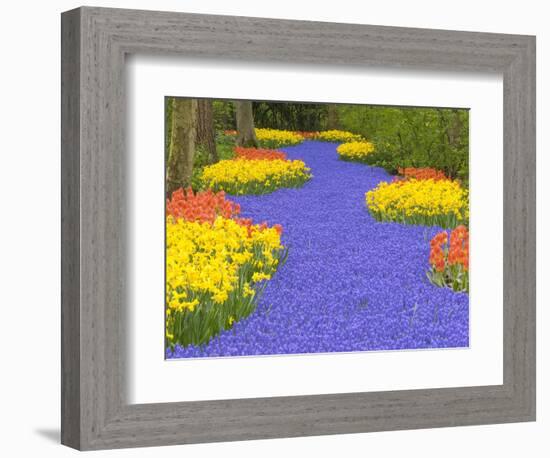 Flowers at Keukenhof Garden-Jim Zuckerman-Framed Photographic Print