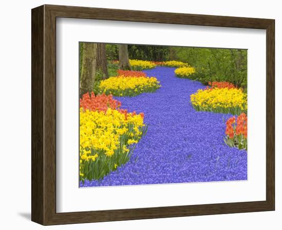 Flowers at Keukenhof Garden-Jim Zuckerman-Framed Photographic Print