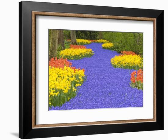 Flowers at Keukenhof Garden-Jim Zuckerman-Framed Photographic Print