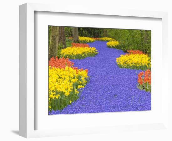 Flowers at Keukenhof Garden-Jim Zuckerman-Framed Photographic Print