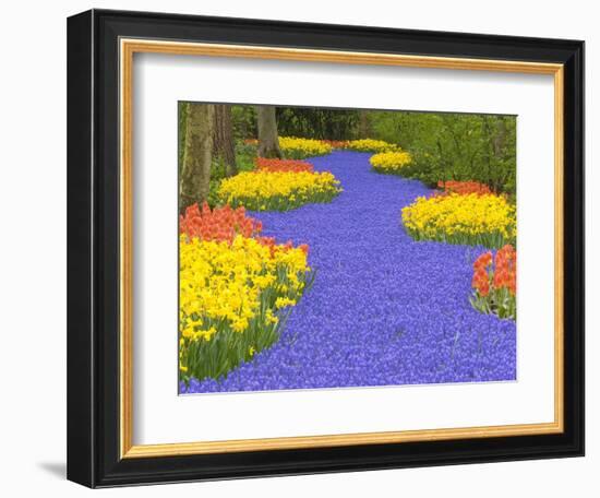 Flowers at Keukenhof Garden-Jim Zuckerman-Framed Photographic Print