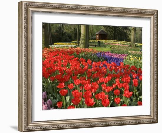 Flowers at Keukenhof Gardens, Near Leiden, Netherlands, Europe-Ethel Davies-Framed Photographic Print