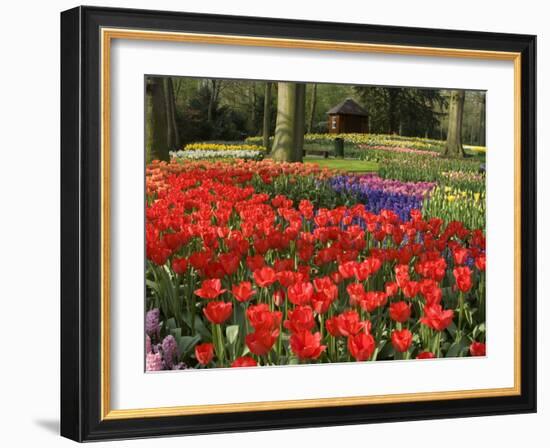 Flowers at Keukenhof Gardens, Near Leiden, Netherlands, Europe-Ethel Davies-Framed Photographic Print