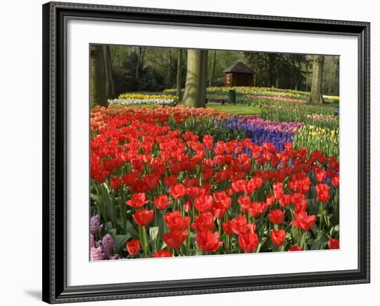 Flowers at Keukenhof Gardens, Near Leiden, Netherlands, Europe-Ethel Davies-Framed Photographic Print