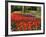 Flowers at Keukenhof Gardens, Near Leiden, Netherlands, Europe-Ethel Davies-Framed Photographic Print