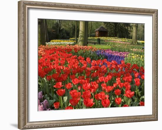 Flowers at Keukenhof Gardens, Near Leiden, Netherlands, Europe-Ethel Davies-Framed Photographic Print