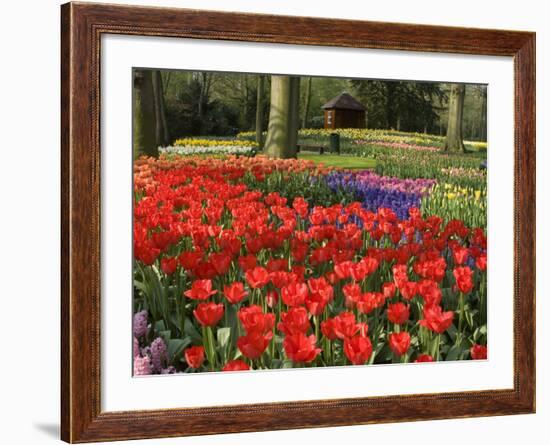 Flowers at Keukenhof Gardens, Near Leiden, Netherlands, Europe-Ethel Davies-Framed Photographic Print