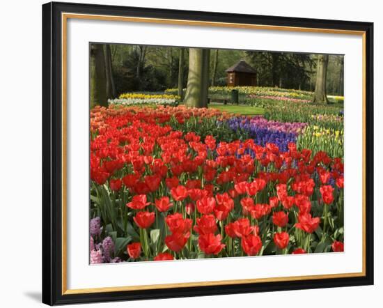 Flowers at Keukenhof Gardens, Near Leiden, Netherlands, Europe-Ethel Davies-Framed Photographic Print