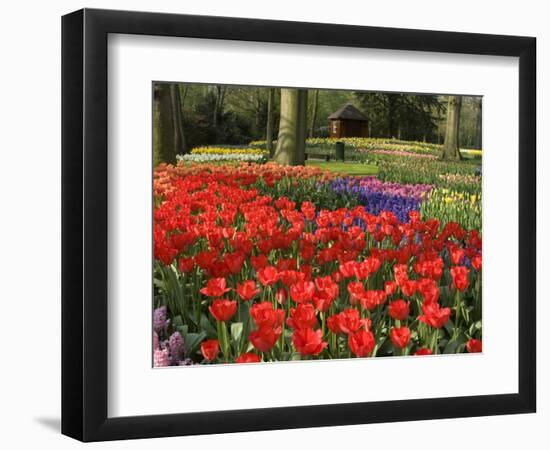 Flowers at Keukenhof Gardens, Near Leiden, Netherlands, Europe-Ethel Davies-Framed Photographic Print