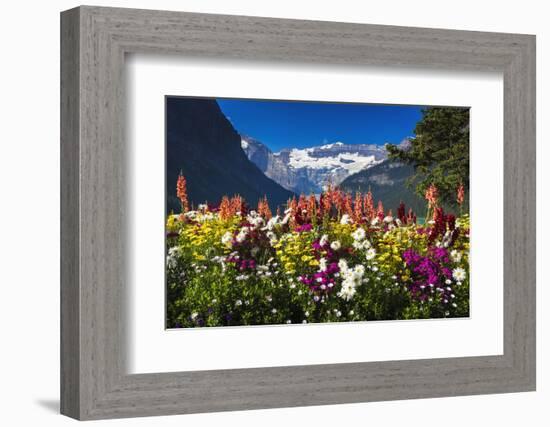 Flowers at Lake Louise under Mount Victoria, Banff National Park, Alberta, Canada-Russ Bishop-Framed Photographic Print