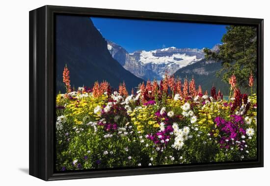 Flowers at Lake Louise under Mount Victoria, Banff National Park, Alberta, Canada-Russ Bishop-Framed Premier Image Canvas