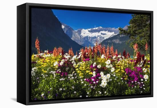 Flowers at Lake Louise under Mount Victoria, Banff National Park, Alberta, Canada-Russ Bishop-Framed Premier Image Canvas