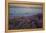 Flowers at Sunset, Del Mar Coast California, USA-Charles Gurche-Framed Premier Image Canvas