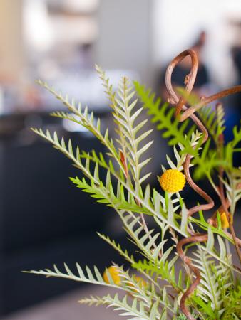 Flowers At The Slanted Door Restaurant In The Ferry Building Photographic Print By Sabrina Dalbesio Art Com