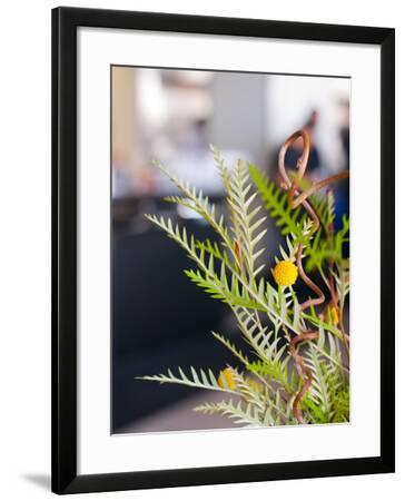 Flowers At The Slanted Door Restaurant In The Ferry Building Photographic Print By Sabrina Dalbesio Art Com