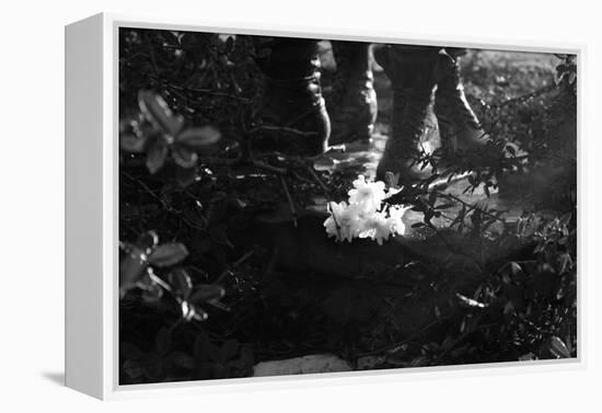 Flowers at Vietnam Memorial Washington DC-null-Framed Stretched Canvas