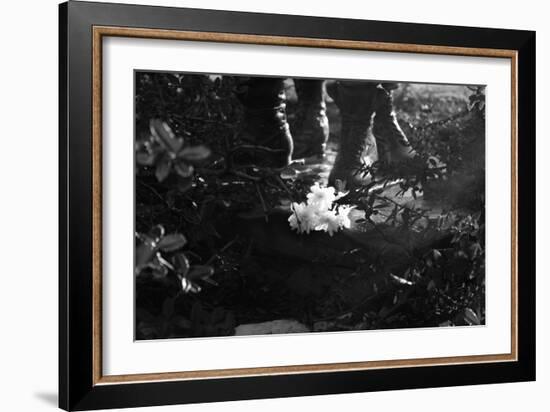 Flowers at Vietnam Memorial Washington DC-null-Framed Photo