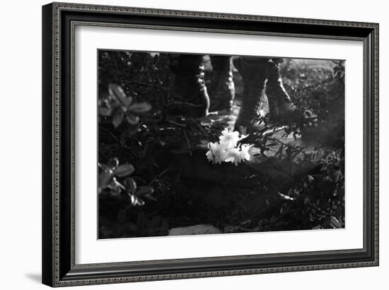 Flowers at Vietnam Memorial Washington DC-null-Framed Photo