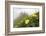 Flowers, Balang Mountain, Wolong National Nature Reserve, Sichuan Province, China-Dong Lei-Framed Photographic Print