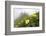 Flowers, Balang Mountain, Wolong National Nature Reserve, Sichuan Province, China-Dong Lei-Framed Photographic Print