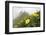 Flowers, Balang Mountain, Wolong National Nature Reserve, Sichuan Province, China-Dong Lei-Framed Photographic Print