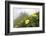 Flowers, Balang Mountain, Wolong National Nature Reserve, Sichuan Province, China-Dong Lei-Framed Photographic Print