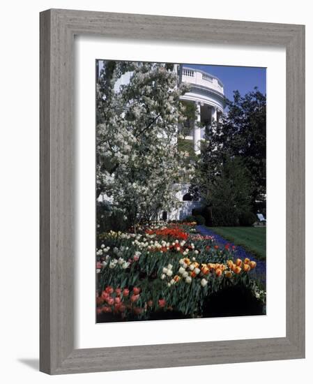 Flowers Blooming in the The White House Gardens-George Silk-Framed Photographic Print