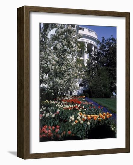 Flowers Blooming in the The White House Gardens-George Silk-Framed Photographic Print