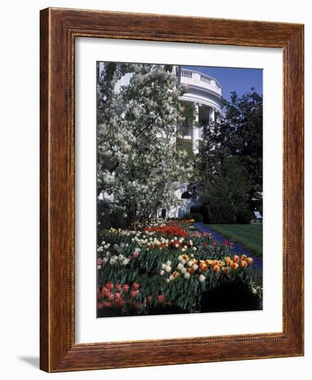 Flowers Blooming in the The White House Gardens-George Silk-Framed Photographic Print