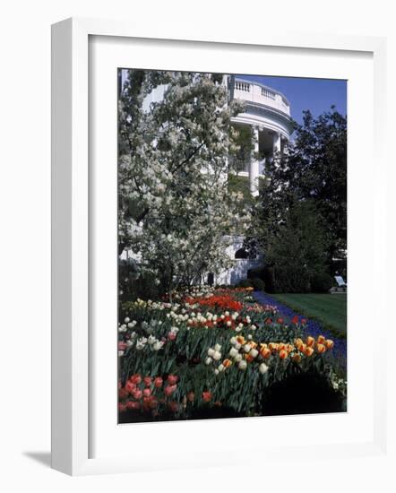 Flowers Blooming in the The White House Gardens-George Silk-Framed Photographic Print