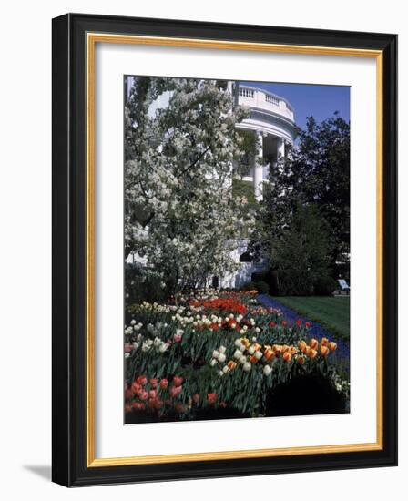 Flowers Blooming in the The White House Gardens-George Silk-Framed Photographic Print