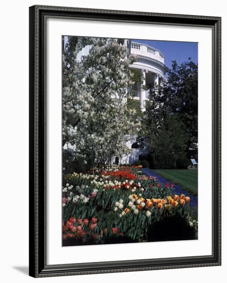 Flowers Blooming in the The White House Gardens-George Silk-Framed Photographic Print