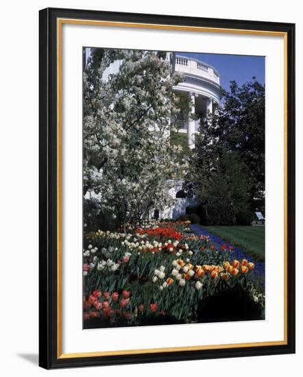 Flowers Blooming in the The White House Gardens-George Silk-Framed Photographic Print