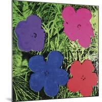 Flowers, C. 1964 (1 Purple, 1 Blue, 1 Pink, 1 Red)-Andy Warhol-Mounted Art Print