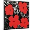 Flowers, c.1964 (Red)-Andy Warhol-Mounted Art Print