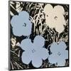 Flowers, c.1965 (Blue, Ivory)-Andy Warhol-Mounted Art Print