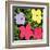 Flowers, c.1970 (1 purple, 1 yellow, 2 pink)-Andy Warhol-Framed Art Print